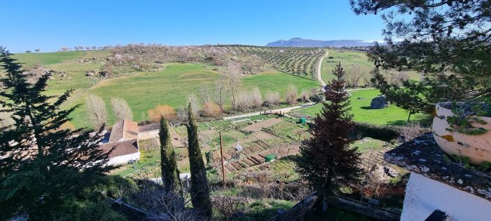 Image No.36-6 Bed Country House for sale