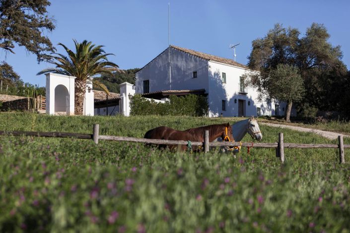 Image No.31-4 Bed Property for sale