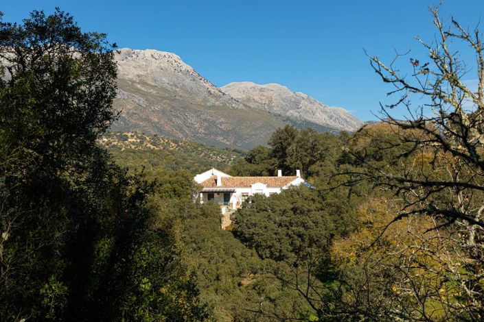 Image No.33-4 Bed Property for sale