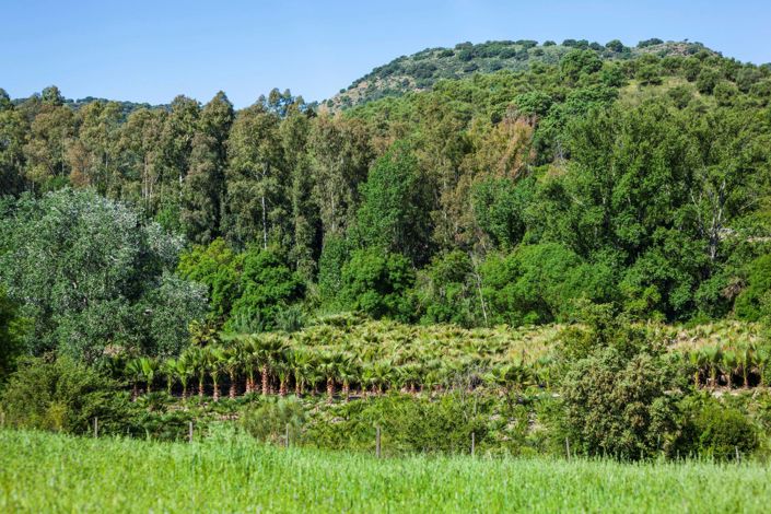 Image No.35-4 Bed Property for sale