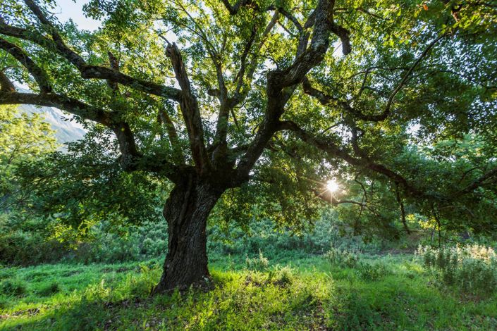 Image No.36-4 Bed Property for sale