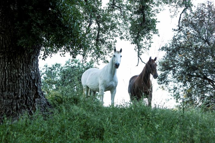 Image No.38-4 Bed Property for sale