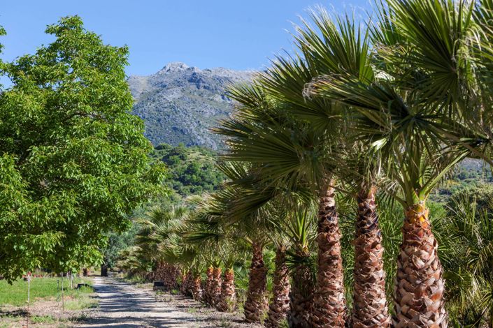 Image No.40-4 Bed Property for sale