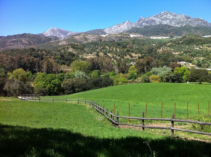 Image No.47-4 Bed Property for sale