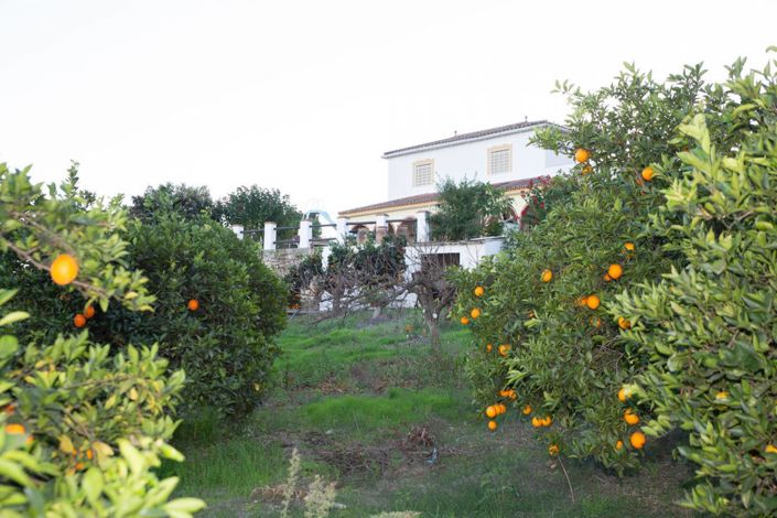 Image No.1-4 Bed Country House for sale