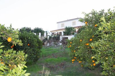 t9khsqyyiasslhcorqlxf6xveddl9qie