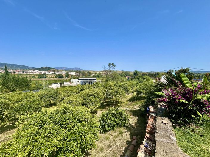 Image No.3-4 Bed Country House for sale