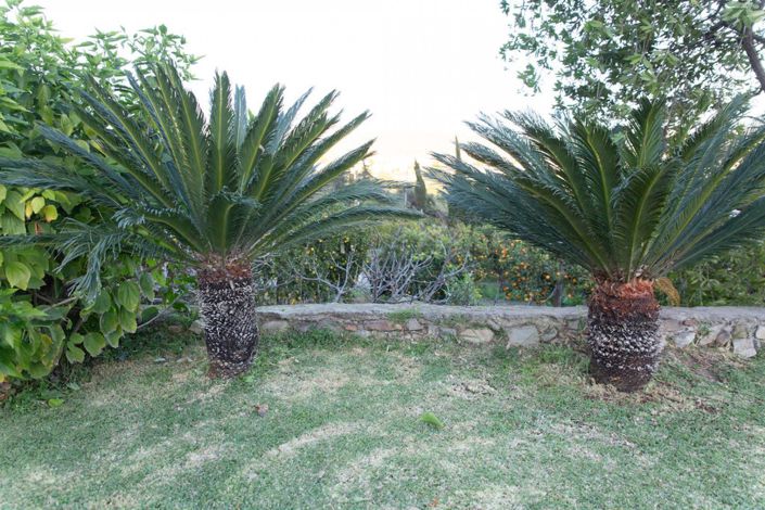 Image No.37-4 Bed Country House for sale