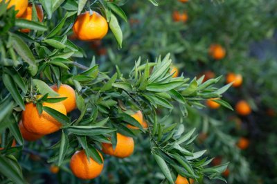 ycvrtjqyjtrnc9y51ygu40mvslpgjfms