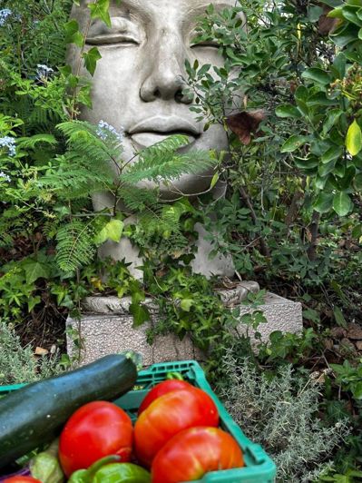 Image No.15-Maison de campagne de 3 chambres à vendre à Estepona