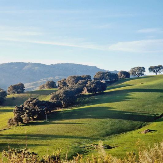 Image No.25-10 Bed Property for sale