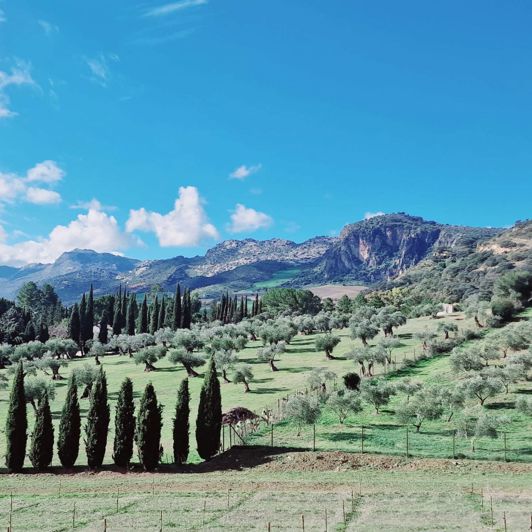 Image No.27-10 Bed Property for sale