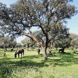 xirqblveokmuf2zrnsqpfux94olxyjl3