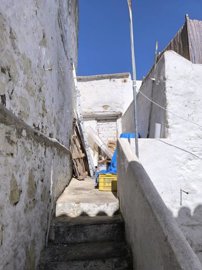 alzru4t3v5arr6vgpsuky5ts6ngdskbs