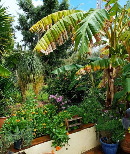 Image No.28-4 Bed Country House for sale