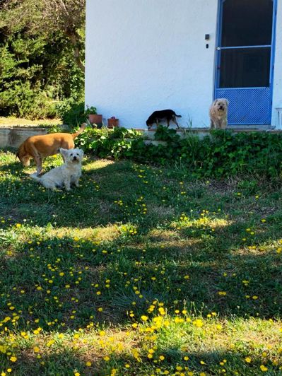 Image No.29-4 Bed Country House for sale