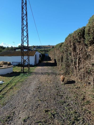 Image No.31-4 Bed Country House for sale