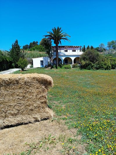 Image No.34-4 Bed Country House for sale