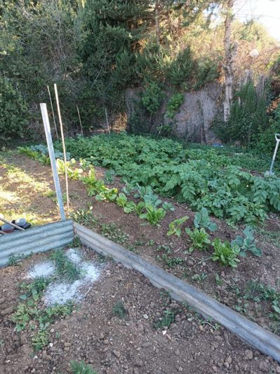 Image No.37-4 Bed Country House for sale