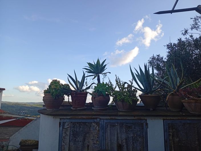 Image No.4-Maison de village de 3 chambres à vendre à Jimena de la Frontera