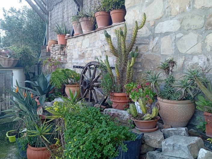 Image No.6-Maison de village de 3 chambres à vendre à Jimena de la Frontera