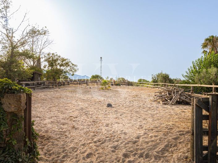 Image No.17-Villa de 4 chambres à vendre à Pedreguer