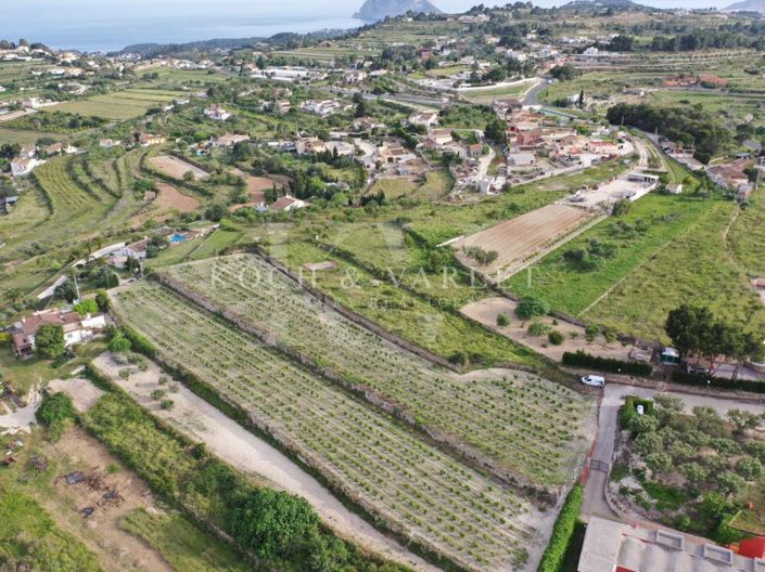 Image No.19-Ferme de 4 chambres à vendre à Teulada