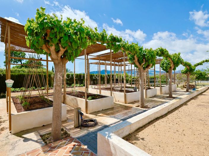 Image No.38-Ferme de 4 chambres à vendre à Javea