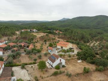 DJI_0884