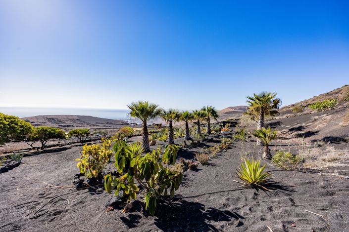 Image No.13-Villa de 6 chambres à vendre à La Asomada