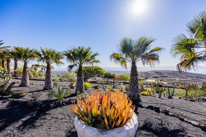 Image No.16-Villa de 6 chambres à vendre à La Asomada