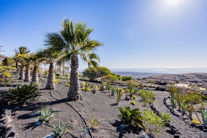 Image No.28-Villa de 6 chambres à vendre à La Asomada