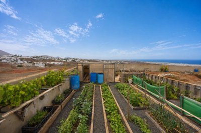 Building regulations permit a single-storey home of up to 206m²