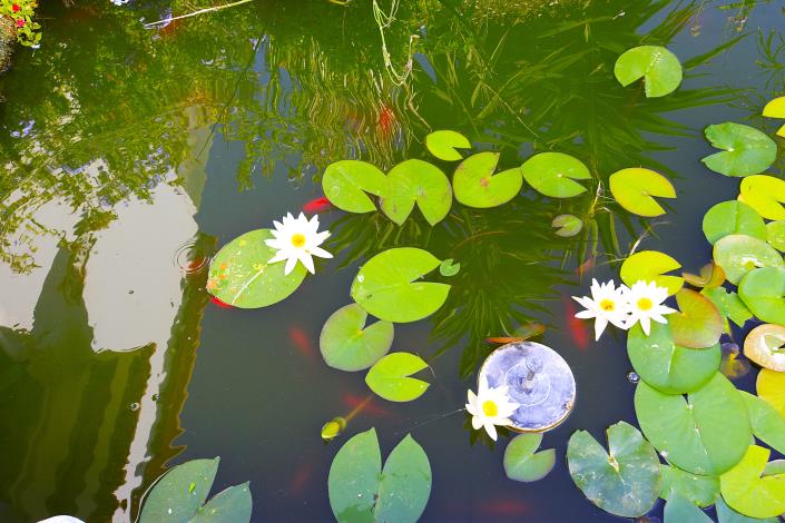 Image No.40-3 Bed Villa / Detached for sale