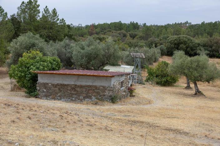 Image No.1-Finca for sale