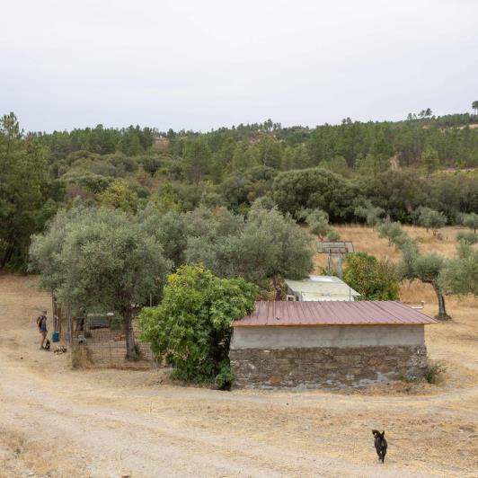 Image No.4-Finca for sale