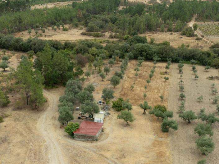 Image No.9-Finca for sale