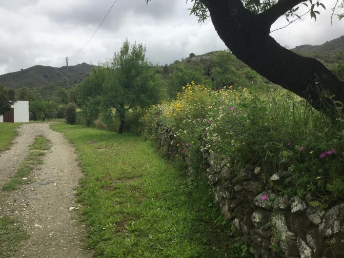 Image No.16-3 Bed Country Property for sale