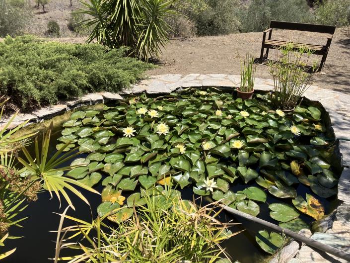 Image No.41-3 Bed Country Property for sale