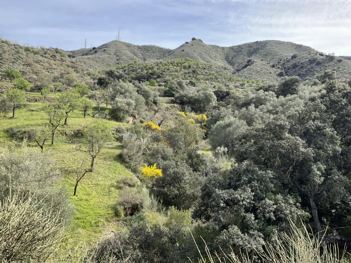 Image No.36-3 Bed Country Property for sale