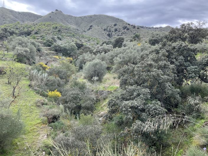 Image No.38-3 Bed Country Property for sale