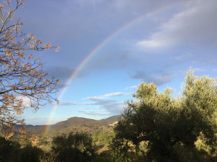 Image No.39-3 Bed Country Property for sale