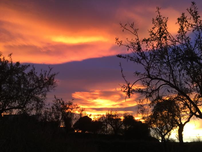 Image No.40-3 Bed Country Property for sale