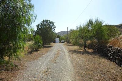 Image-3