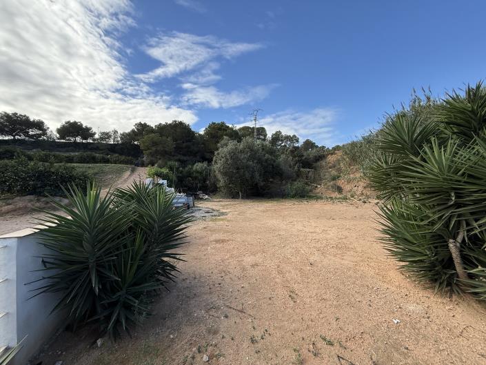 Image No.18-Maison de campagne de 4 chambres à vendre à Pinar de Campoverde