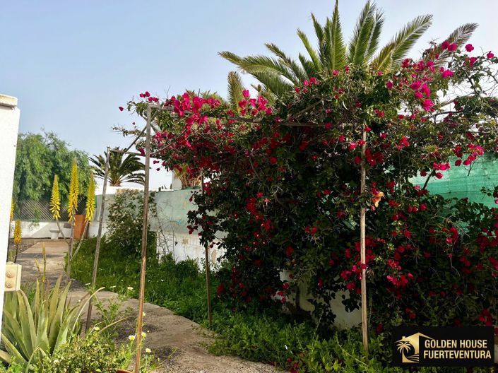 Image No.24-Propriété de 3 chambres à vendre à Espagne