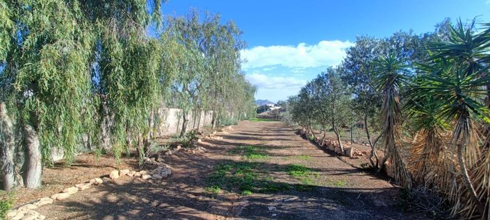 Image No.45-Propriété de 3 chambres à vendre à Tuineje