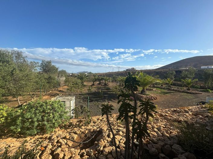 Image No.46-Propriété de 3 chambres à vendre à Tuineje