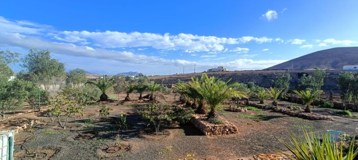 Image No.51-Propriété de 3 chambres à vendre à Tuineje