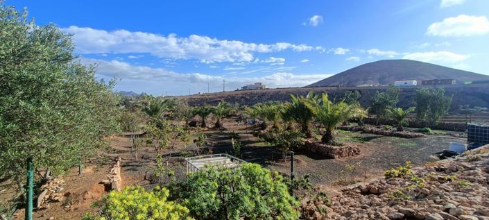 Image No.52-Propriété de 3 chambres à vendre à Tuineje